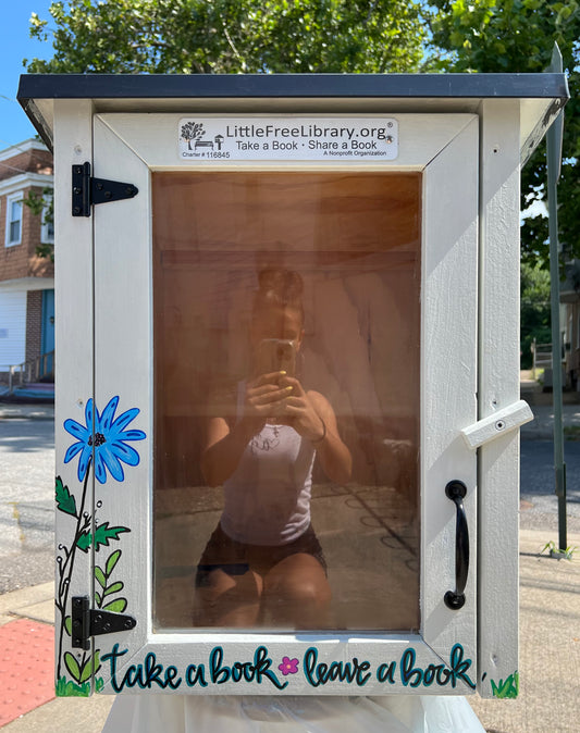 Custom Little Free Library